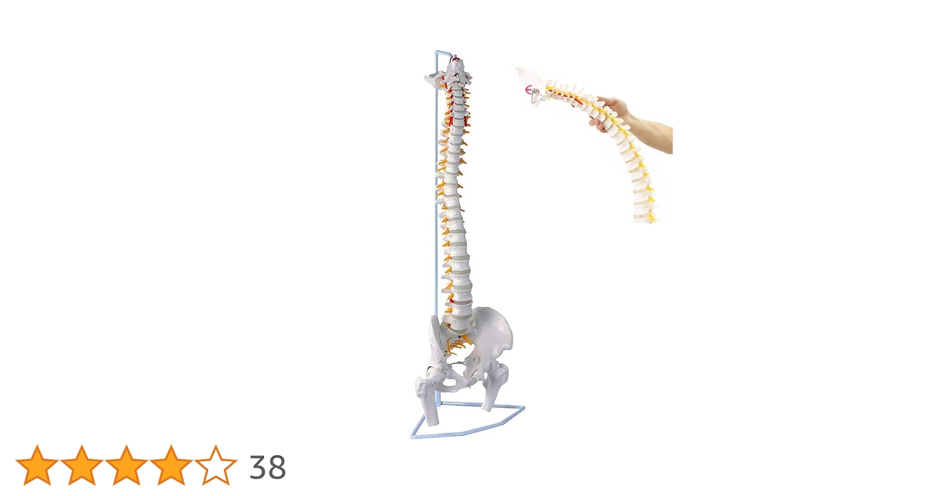 51xN4+OlRYL.jpg_BO30,255,255,